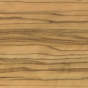 Dekor F21 Oliva lesk